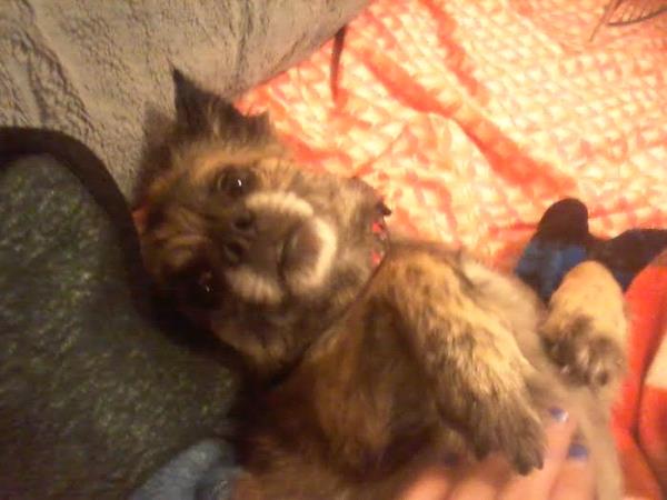 /Images/uploads/Humane Society of Utah/HSUCalendar/entries/1352thumb.jpg